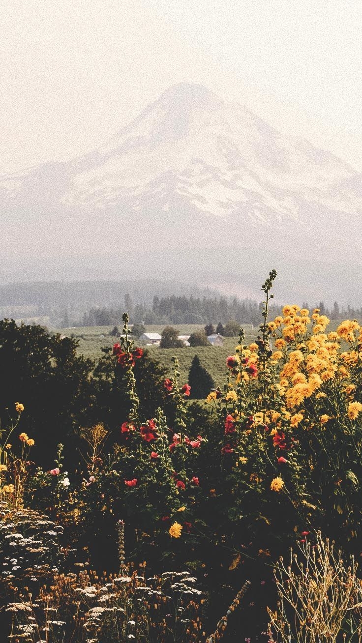 740x1310 Relaxing Nature IPhone Xs Wallpaper. Preppy Wallpaper 2022, Phone