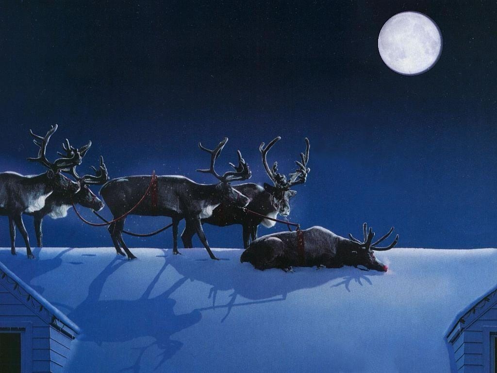 1030x770 Christmas Wallpaper Reindeer, Desktop