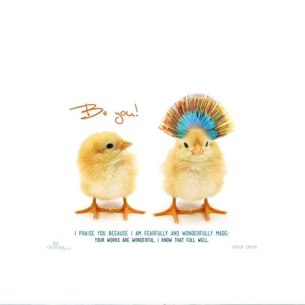 1030x1030 Be You Desktop Wallpaper Animals Background, Phone