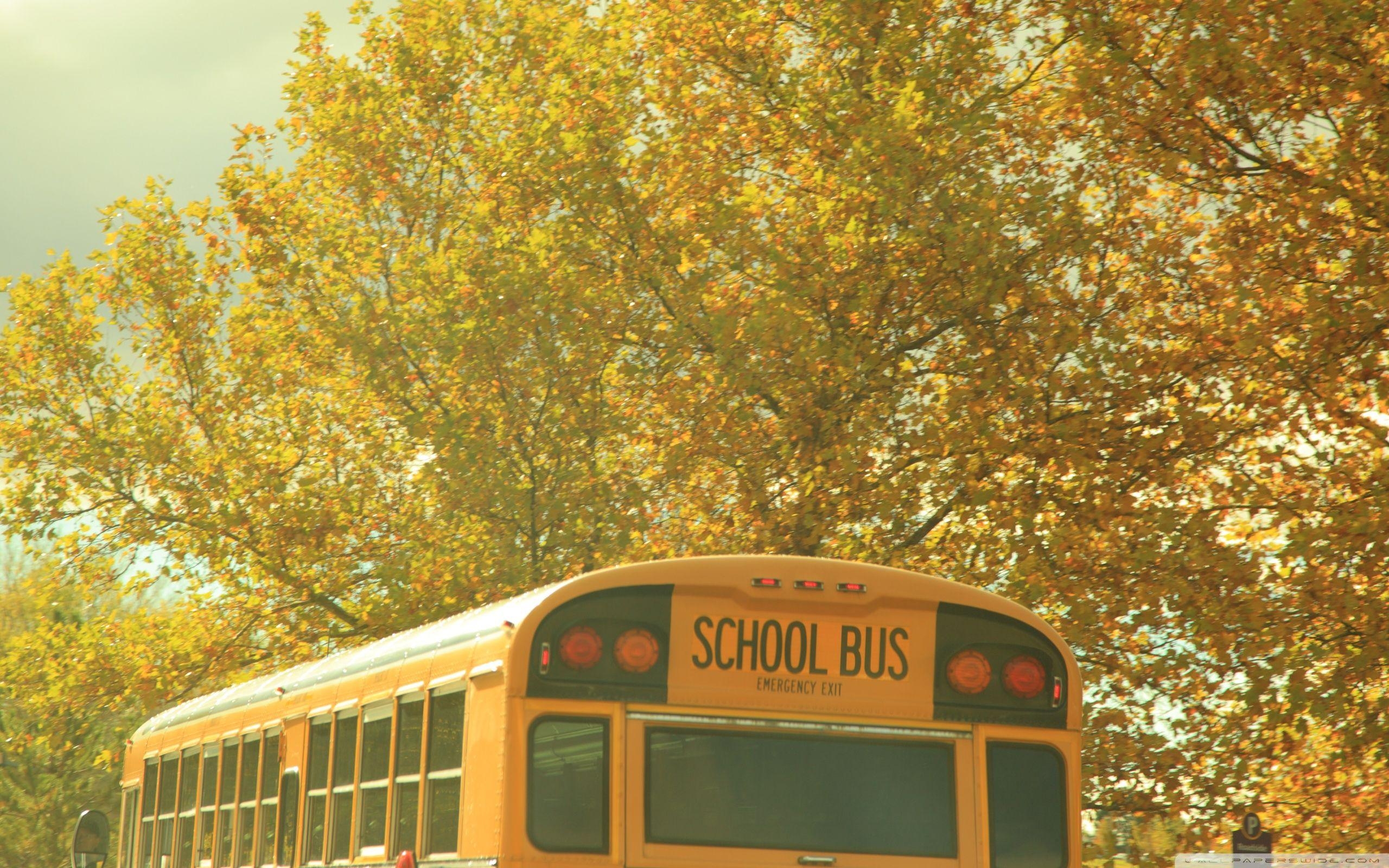 2560x1600 School Bus Nostalgia ❤ 4K HD Desktop Wallpaper for 4K Ultra HD TV, Desktop