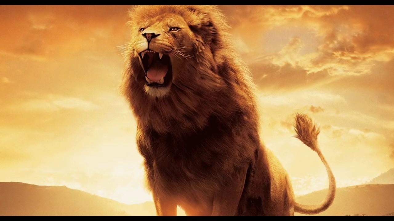 1280x720 Wallpaper Engine. Lion King ( Animated ), Desktop