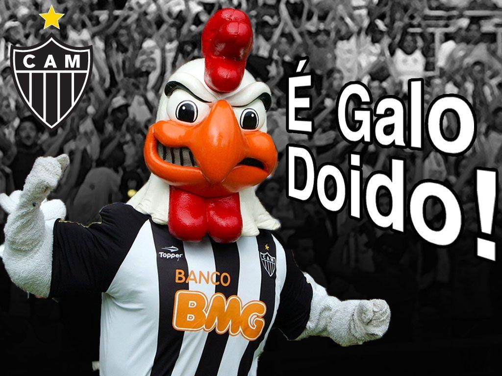 1030x770 Galo Doido!. Papel de Parede, Desktop