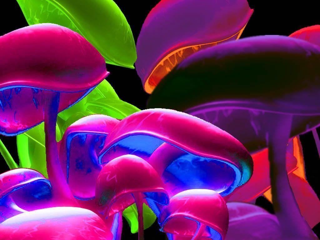 1030x770 shrooms. jpg, Desktop and mobile wallpaper, Desktop