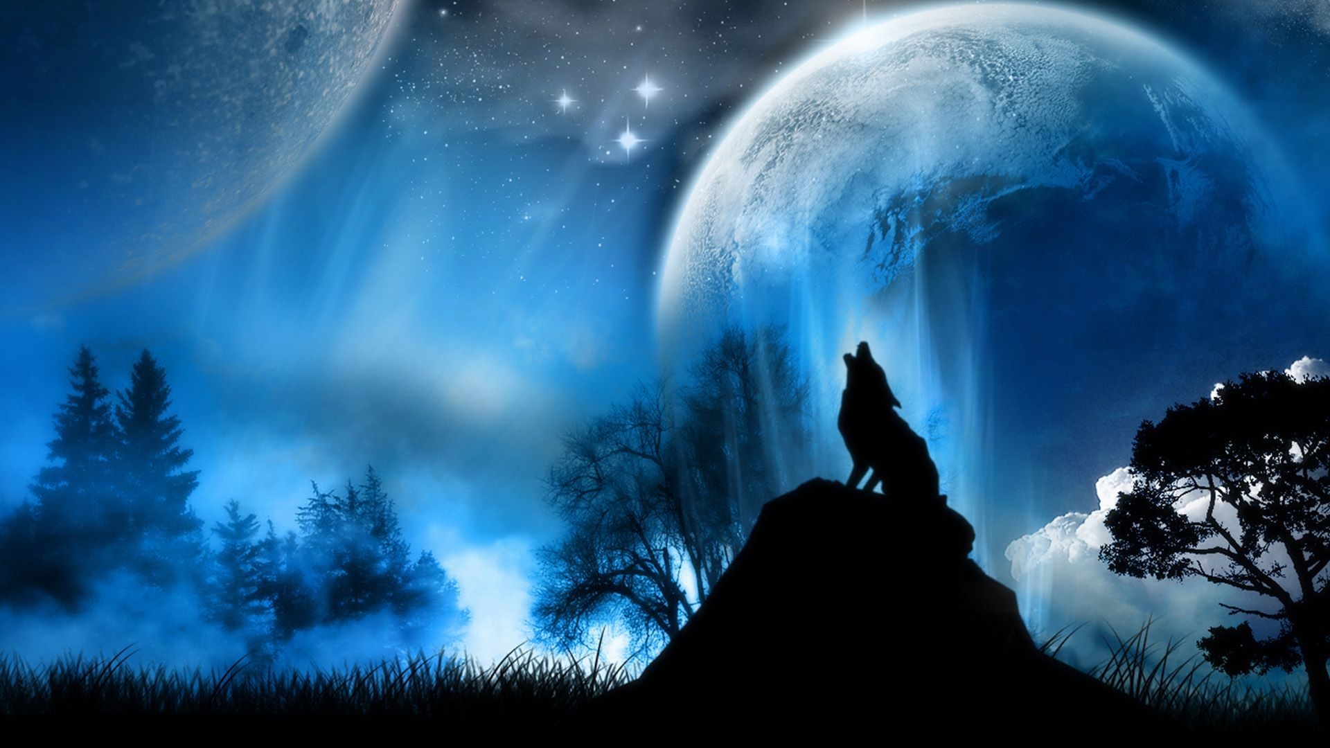 1920x1080 1 3D Wallpaper And Blue Wolf HD Wallpaper, Desktop