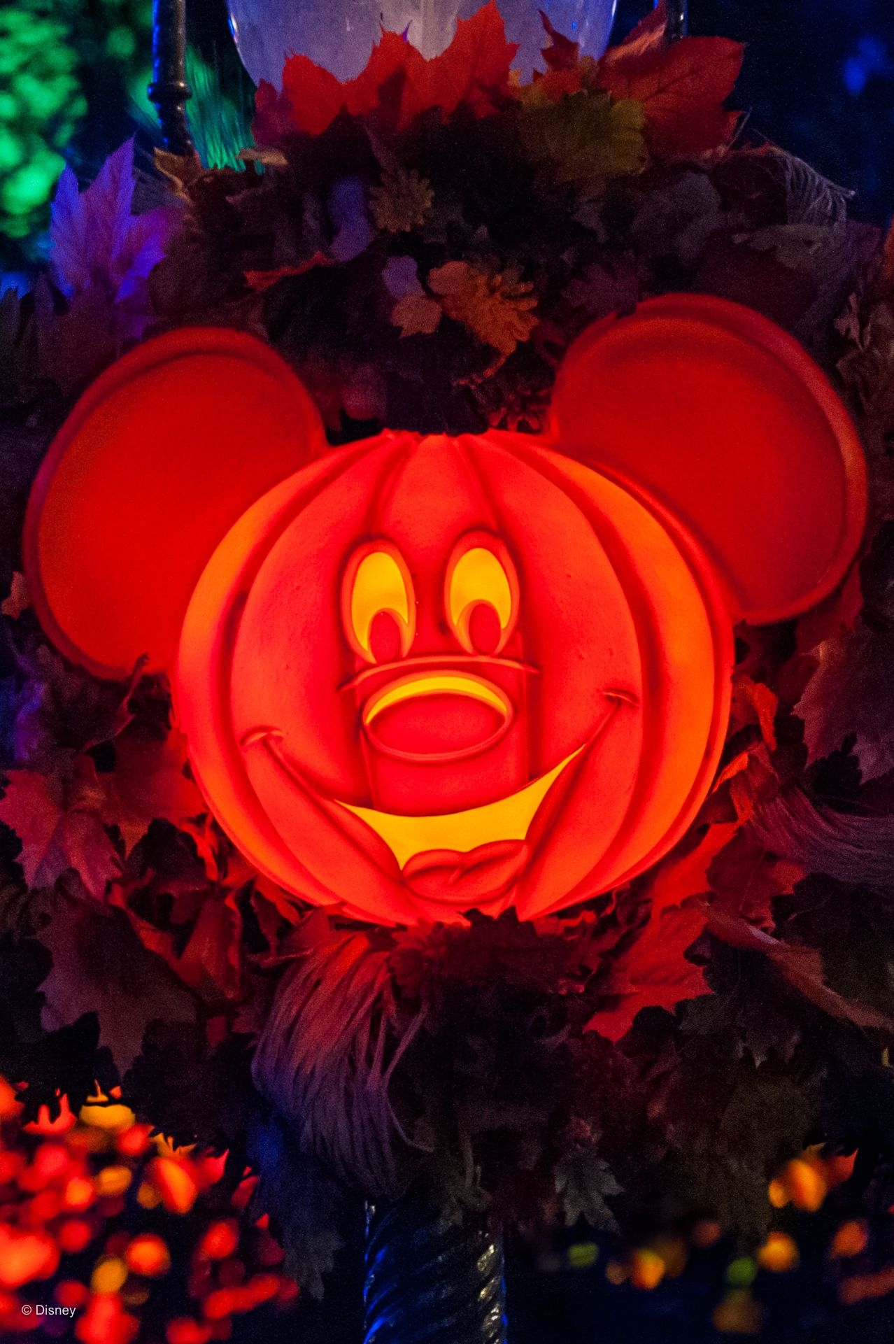 1280x1930 PHOTOS: New Halloween PhotoPass Wallpaper Now Available from Walt Disney World and Disneyland Resort News Today, Phone