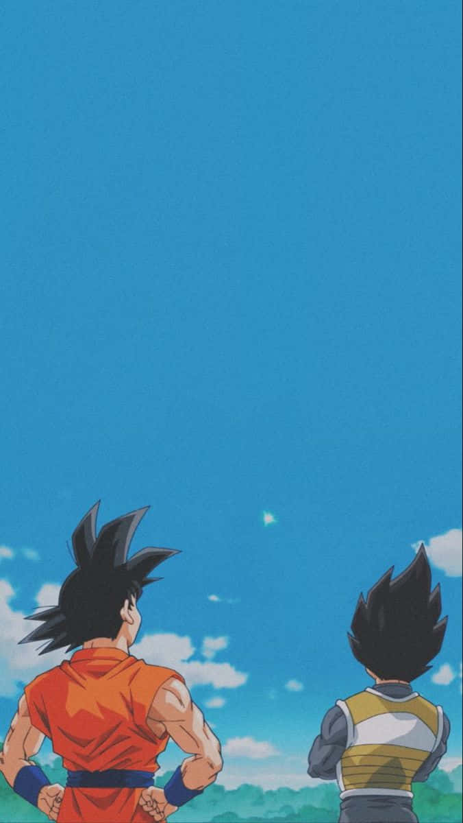 680x1200 Goku And Vegeta iPhone Wallpaper, Phone