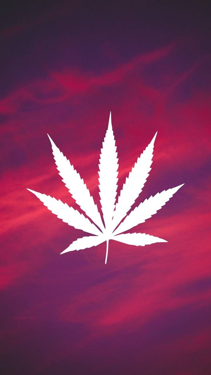 720x1280 Pot leaf wallpaper, Phone