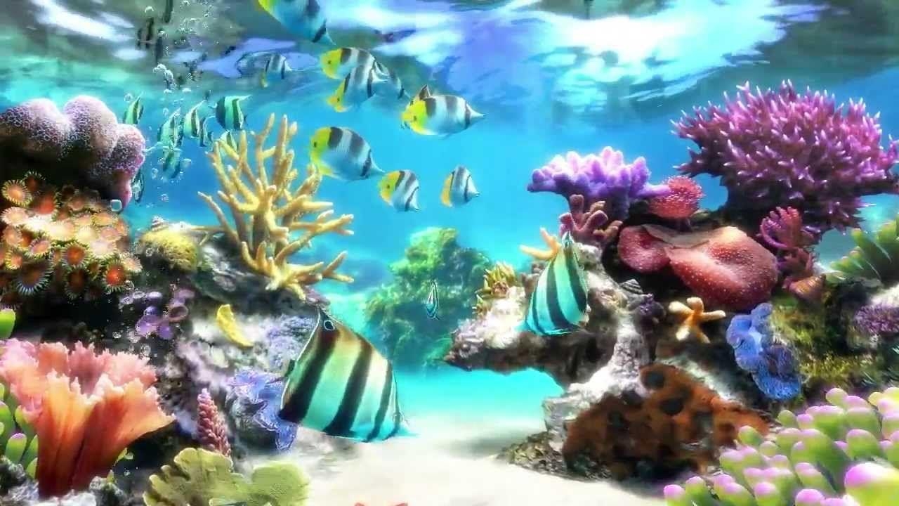 1280x720 Sim Aquarium & Live Wallpaper, Desktop