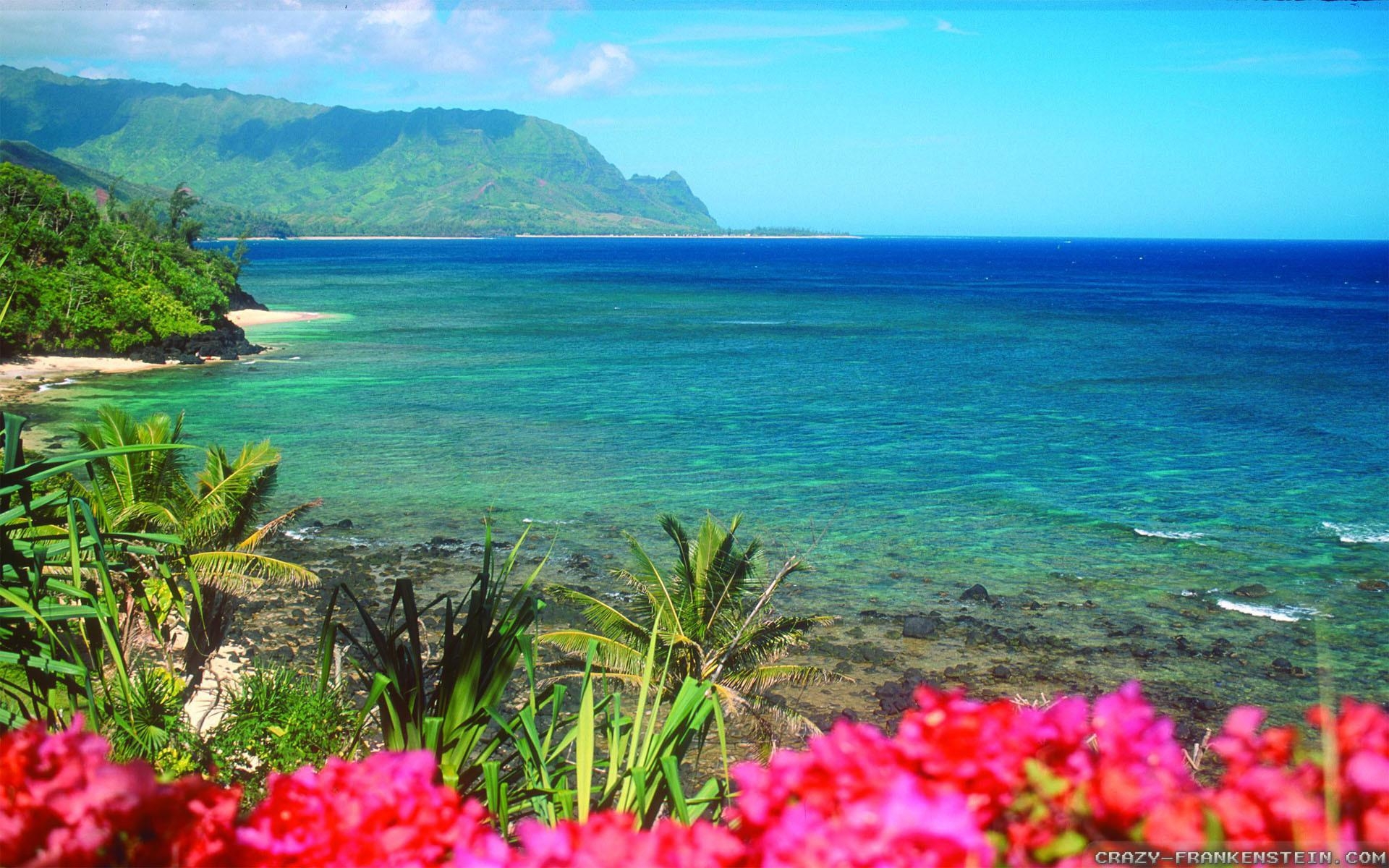 1920x1200 Hawaii Desktop Wallpaper, Desktop