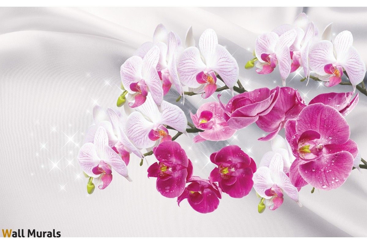 1200x800 Wallpaper twigs white and pink orchids background silk, Desktop