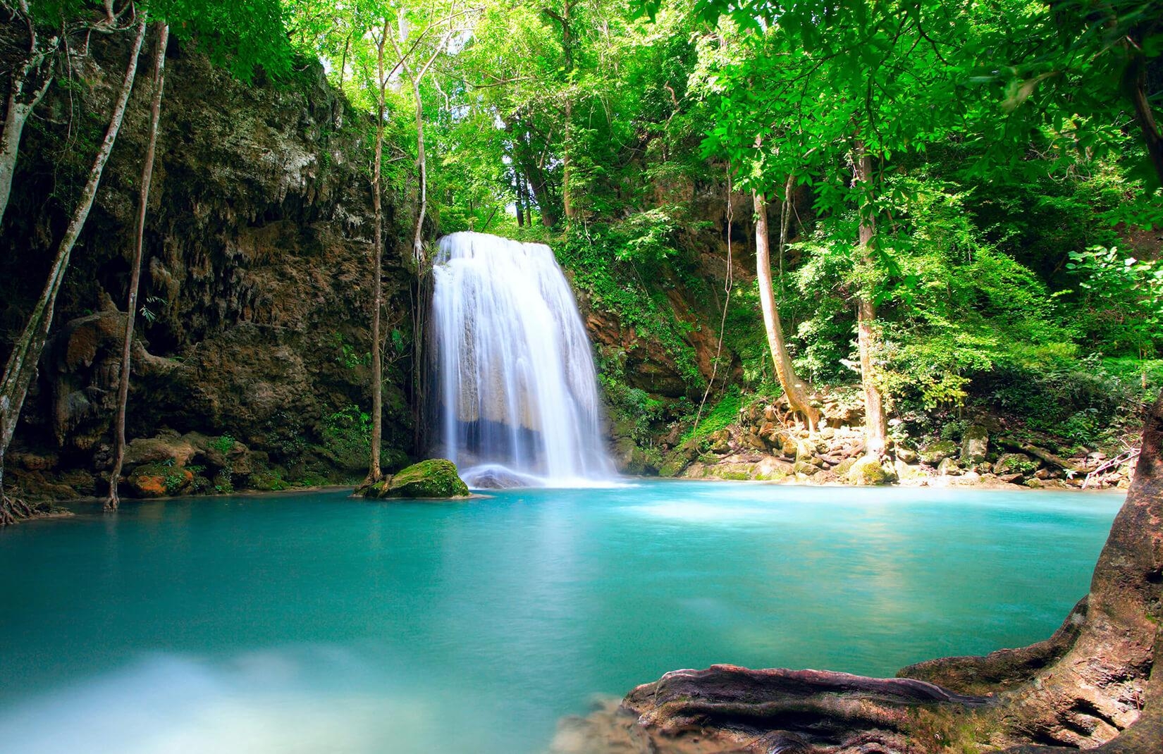 1650x1070 Jungle Waterfall Wallpaper Mural, Desktop