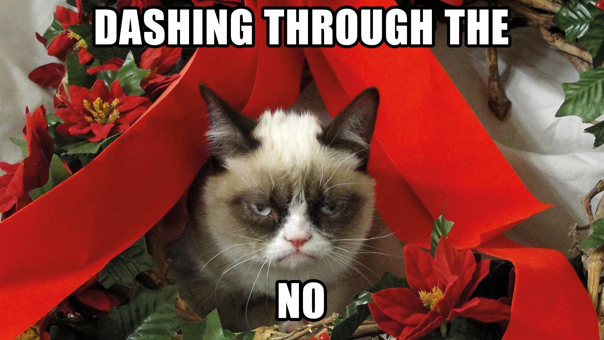 1920x1080 Grumpy Cat Christmas Wallpaper Free Grumpy Cat Christmas Background, Desktop