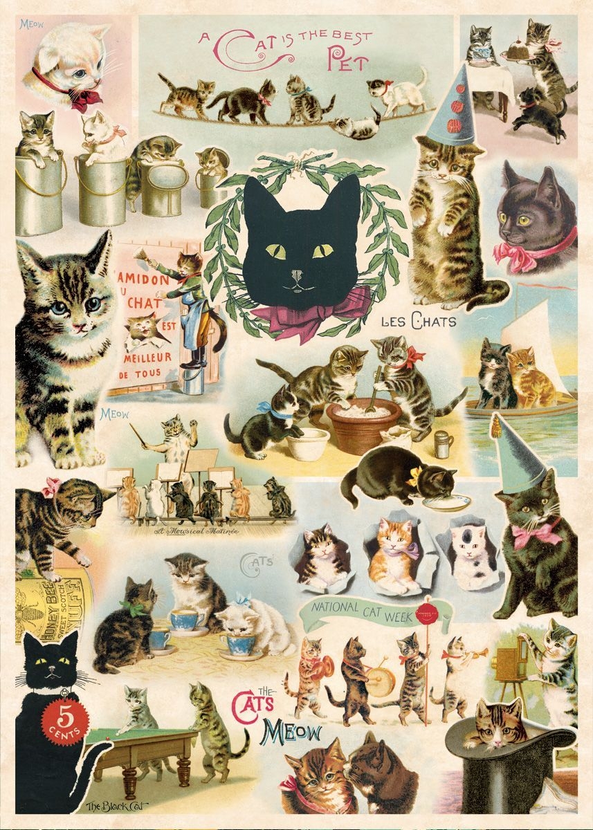 860x1200 Vintage Cats Wallpaper, HD Vintage Cats Background on WallpaperBat, Phone