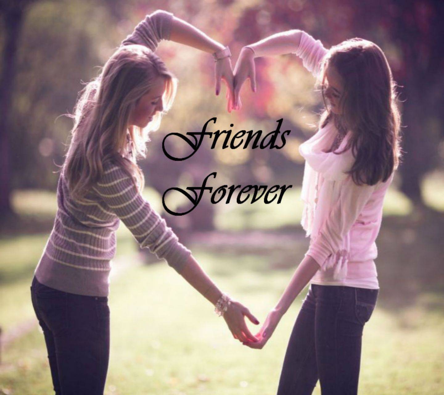 1440x1280 Friendship Wallpaper by ZEDGE™, Desktop