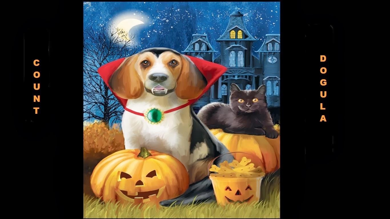 1370x770 Halloween Dog Wallpaperfoto.com, Desktop