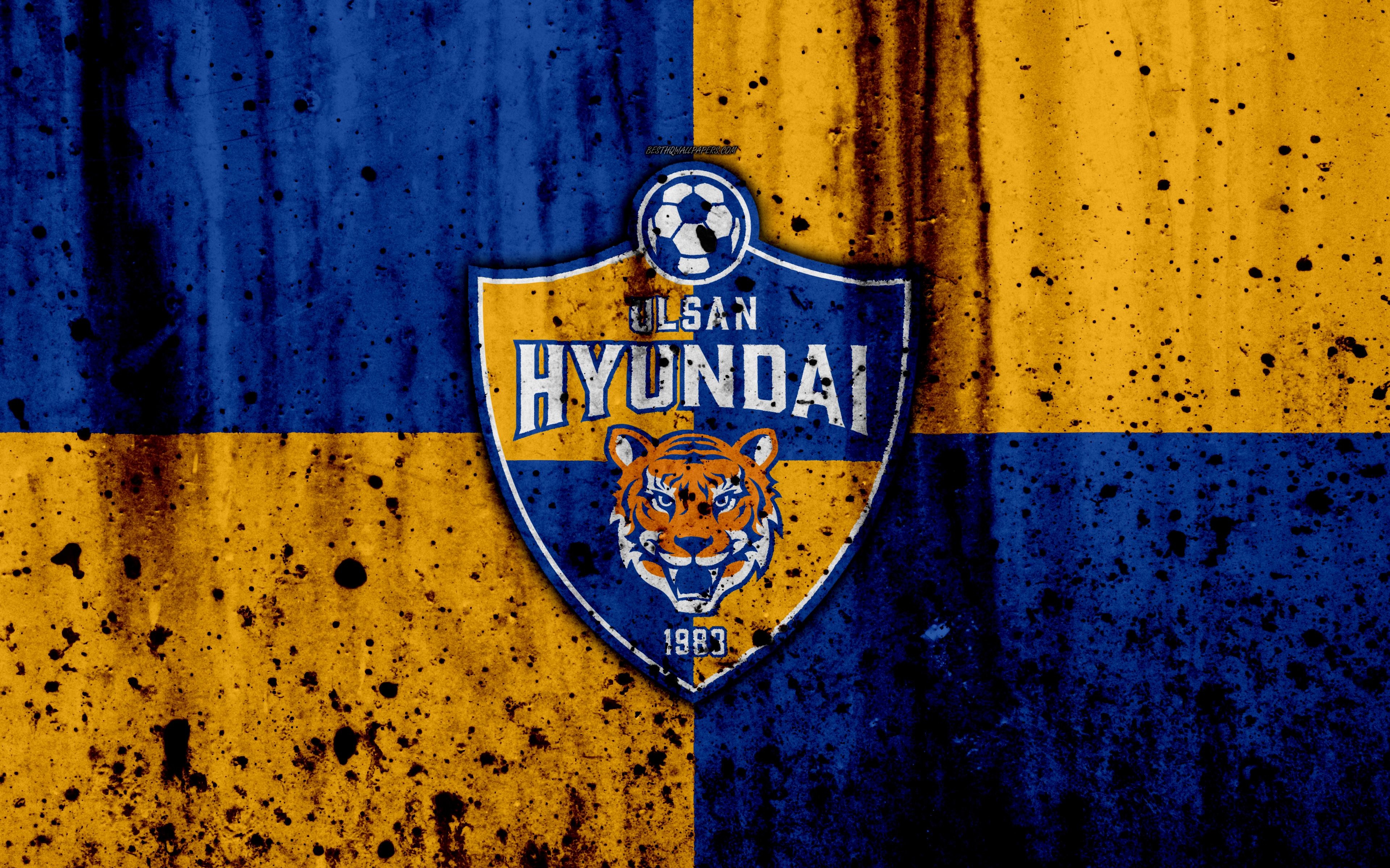 3840x2400 Download Wallpaper 4k, FC Ulsan Hyundai, Grunge, K League Classic, Desktop