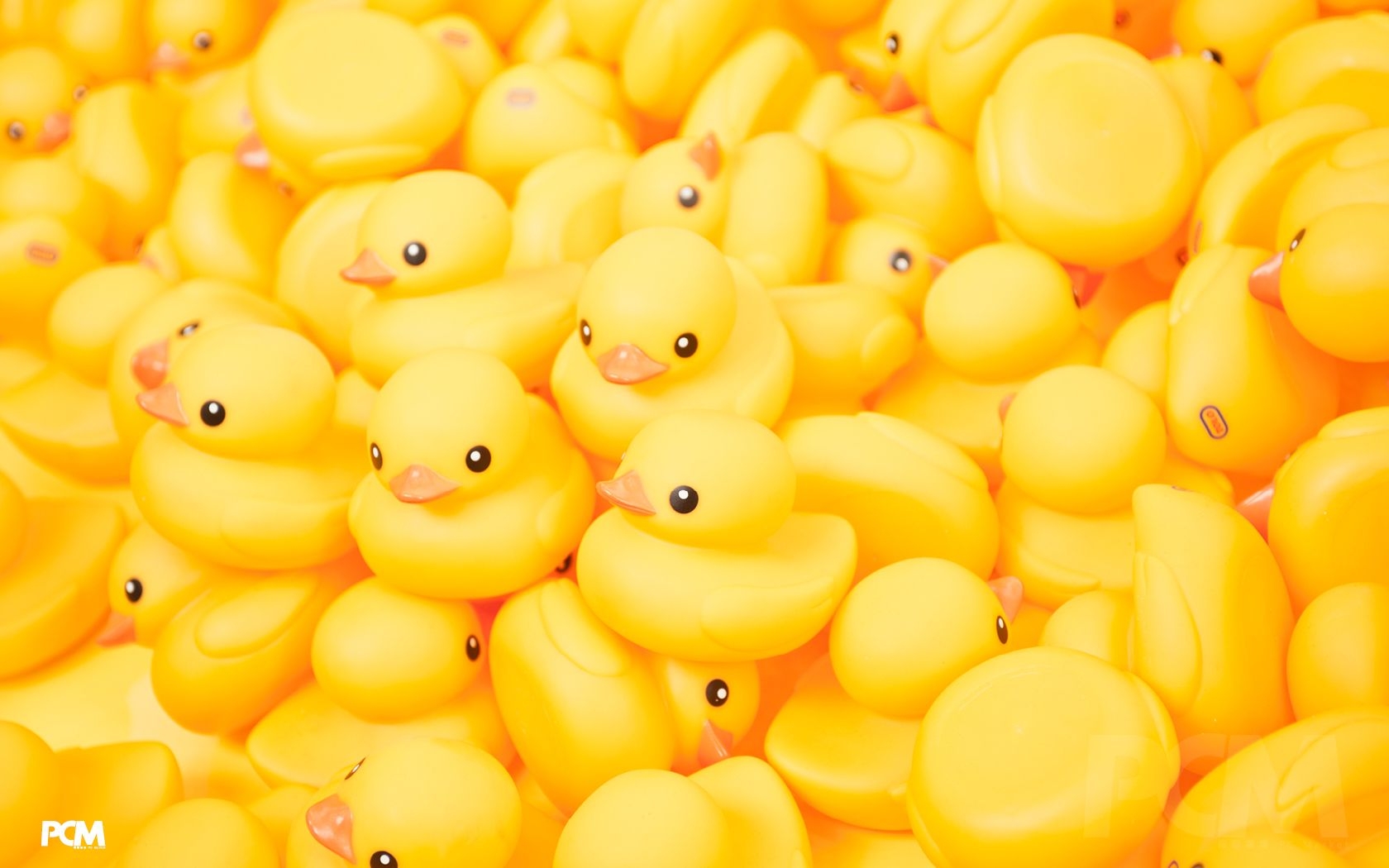 1680x1050 Pin By Kate Lee On Cute Animals Furry Art Disney Food Toys In 2021. Yellow Athstetic Background, Yellow Aesthetic, Duck Wallpaper, Desktop