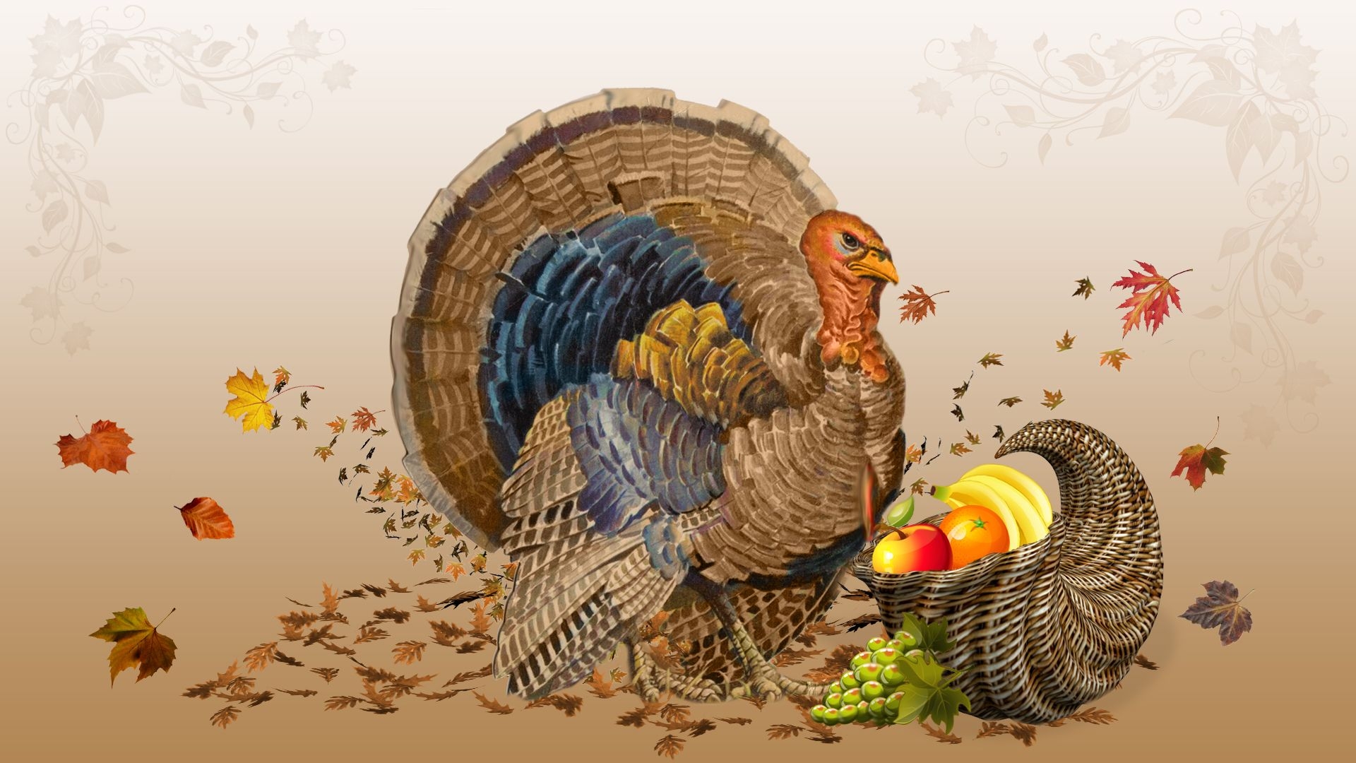 1920x1080 Turkey Wallpaper. Turkey Wallpaper, Thanksgiving Turkey Wallpaper and Funny Turkey Wallpaper, Desktop