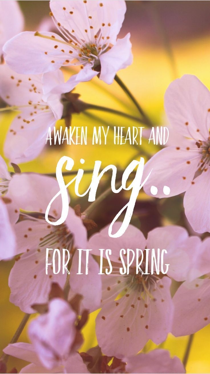 740x1310 spring #season #quote #wallpaper #fondos #edit :evaxo, Phone