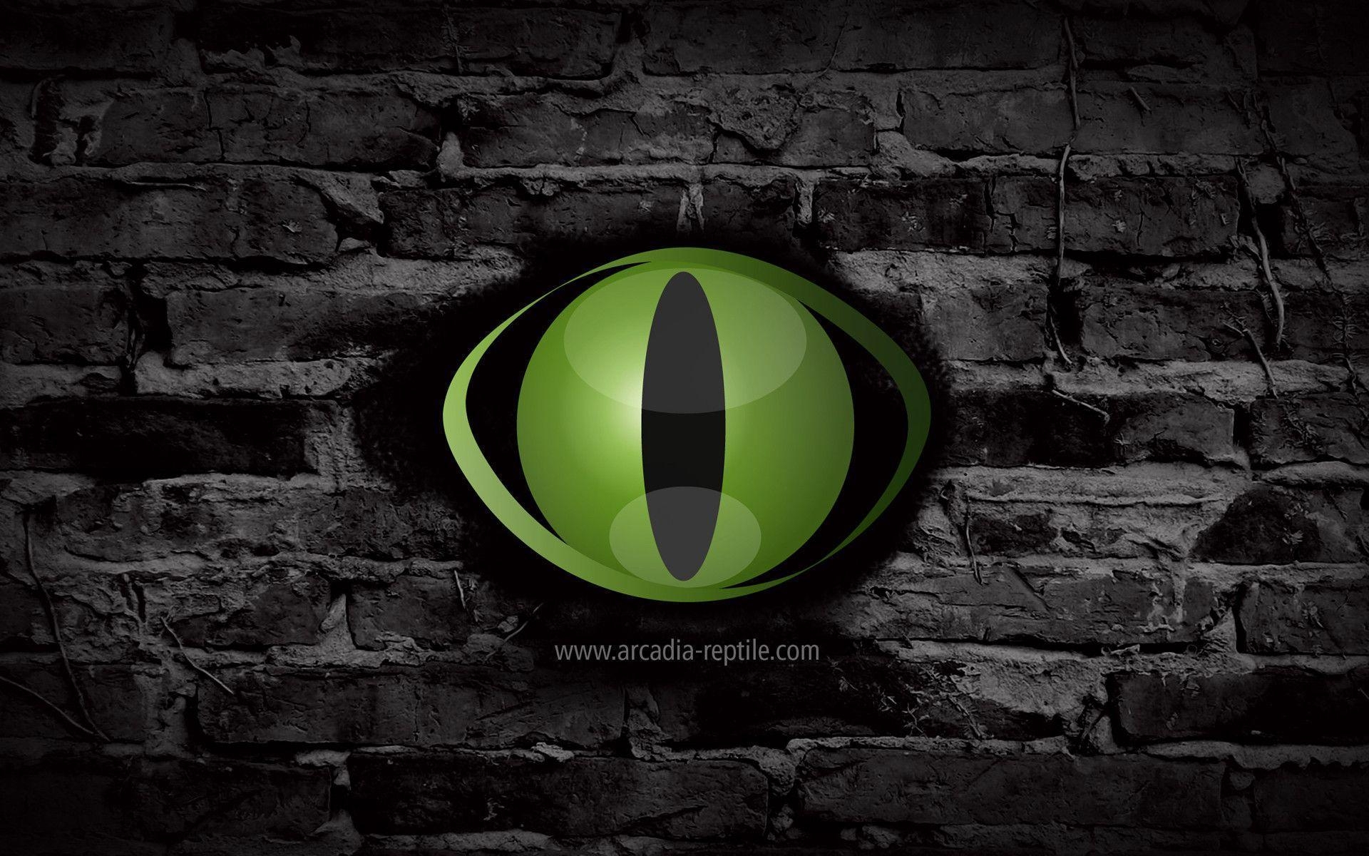 1920x1200 Desktop Wallpaper, Arcadia Reptile, Desktop