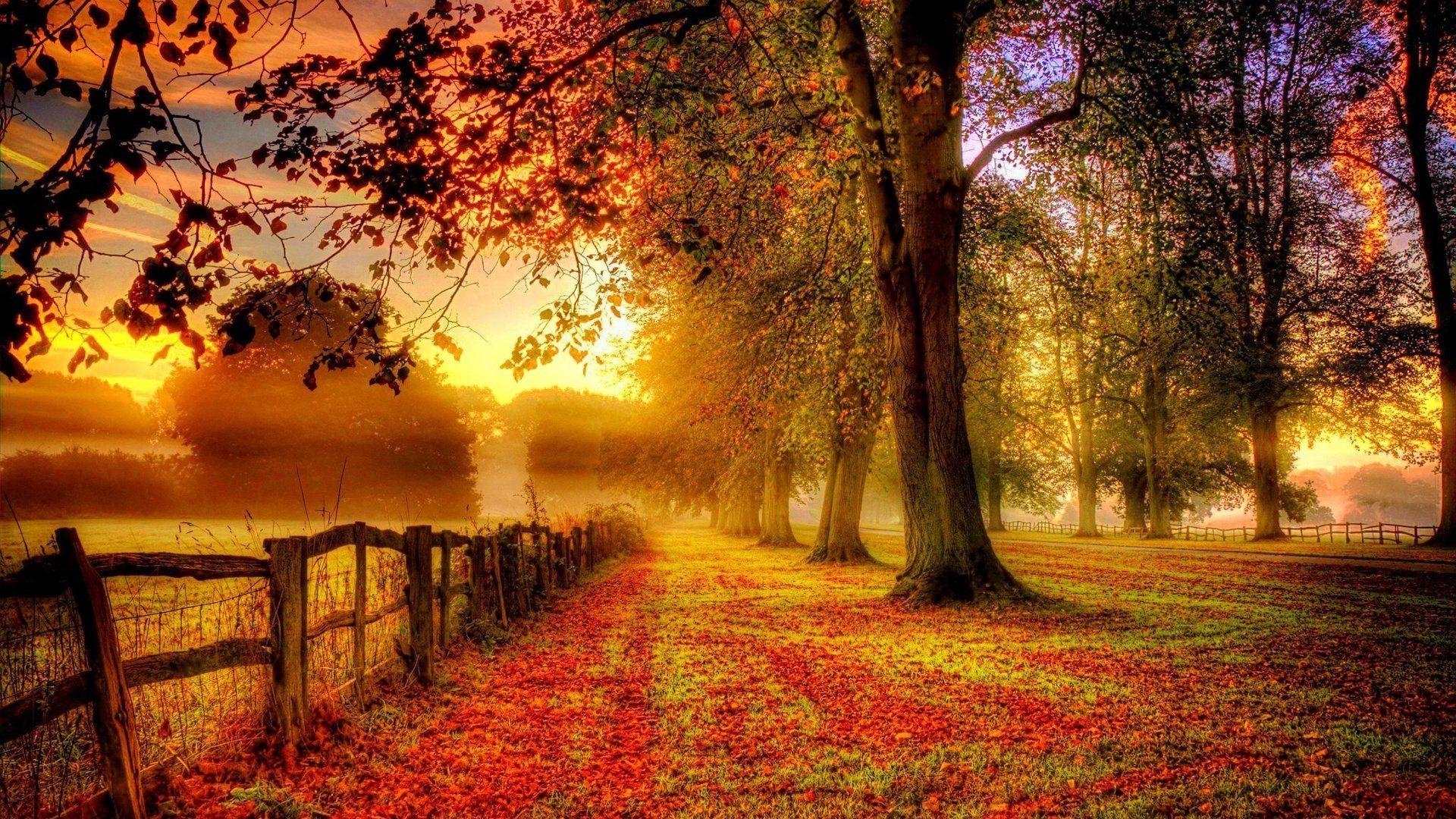 1920x1080 Fall HD Wallpaper and Background Image, Desktop