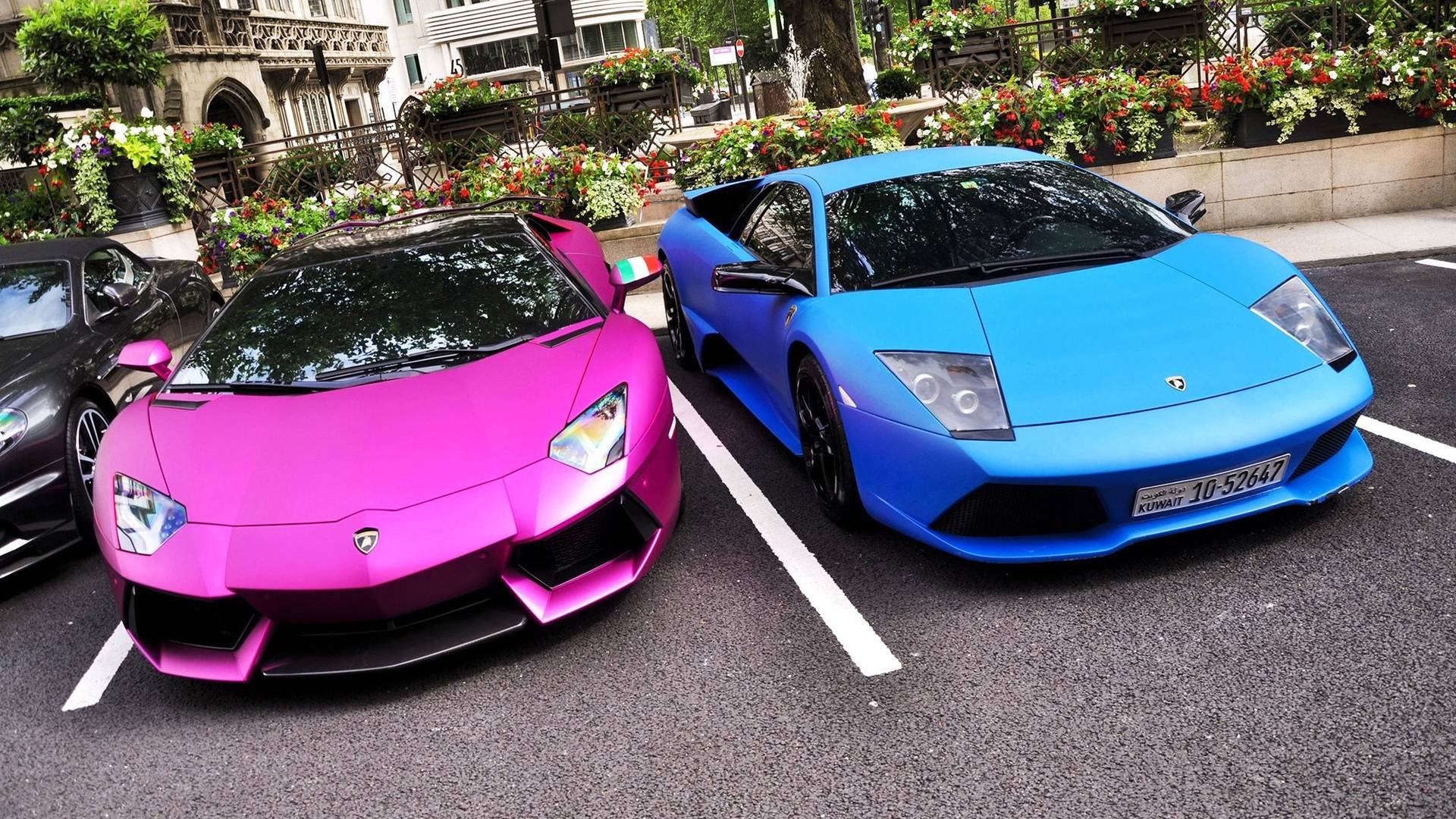 1920x1080 Pink And Blue Lamborghinis Parked Cars HD wallpaper #, Desktop