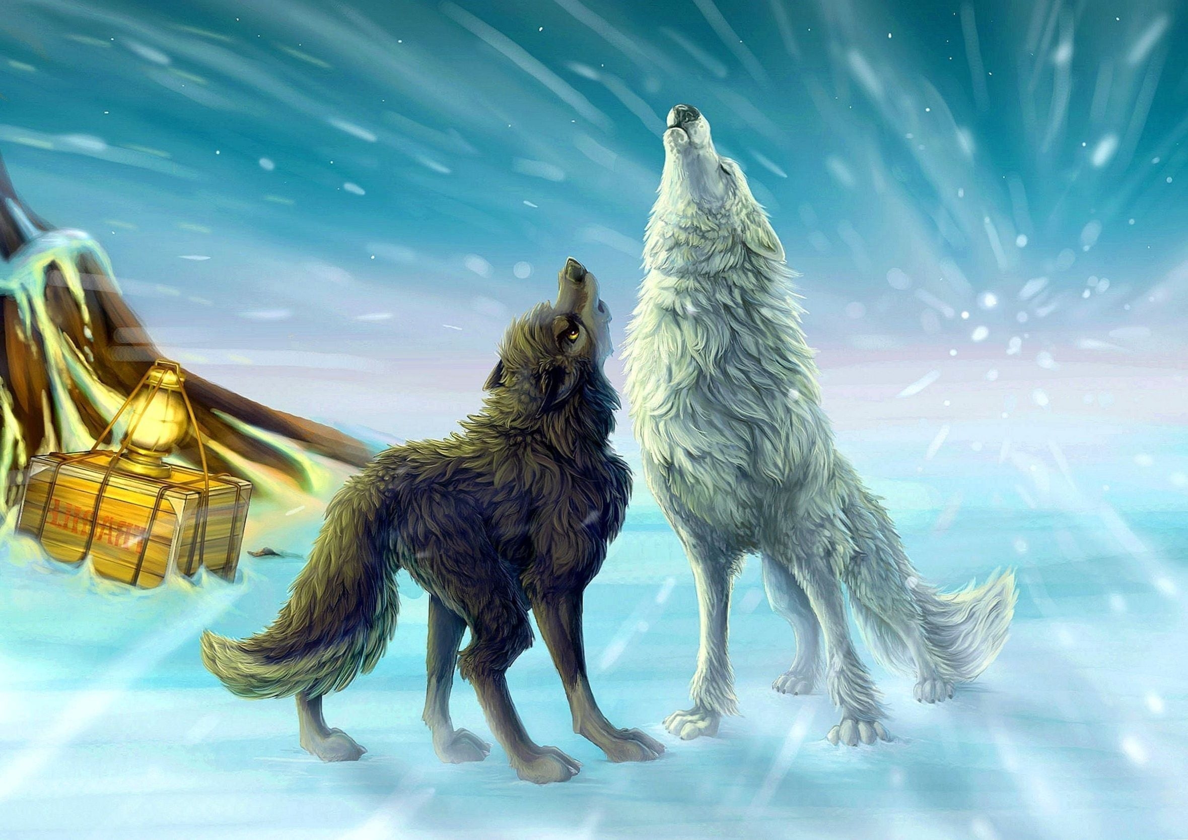 2360x1670 Wolf Animated Wallpaper HD Wallpaper.Pro, Desktop