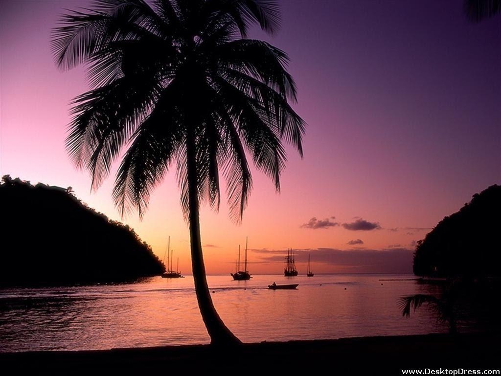 1030x770 Desktop Wallpaper Other Background Marigot Bay, St Lucia, Desktop