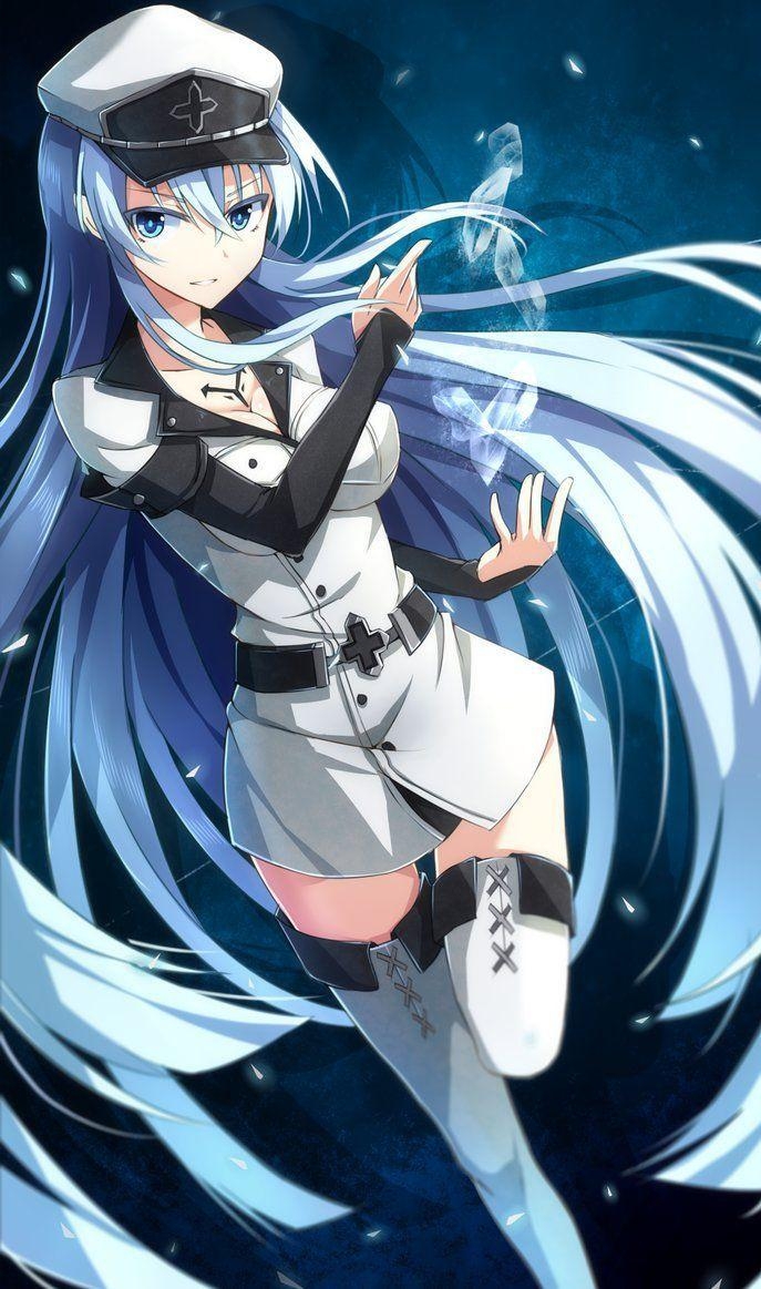 690x1170 general esdeath. Akame Ga Kill. Akame ga, Anime, Phone