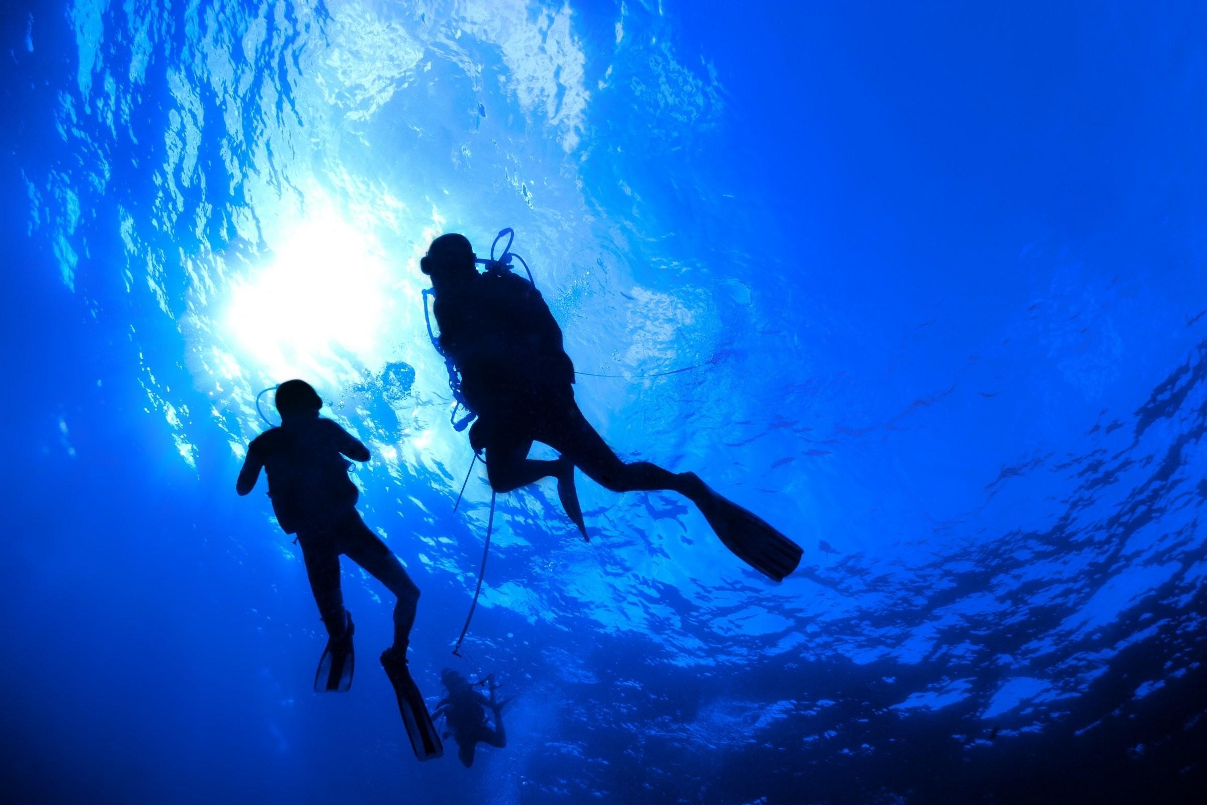 2400x1600 Scuba Diving Wallpaper, Desktop