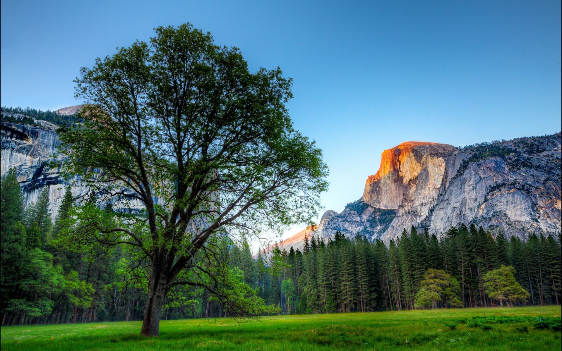 1920x1200 Os X Yosemite Wallpaper HD National Park, Half Dome, Desktop