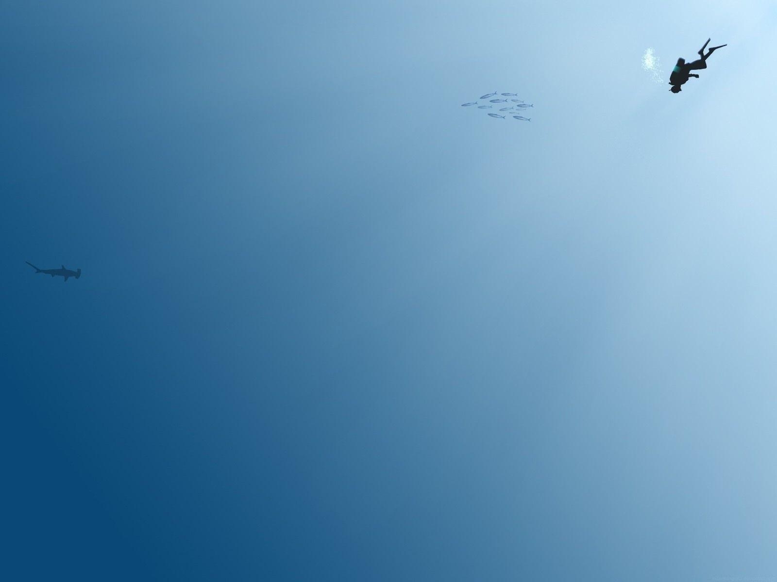 1600x1200 Diving Ocean Simple Minimalist Desktop Wallpaper, Desktop