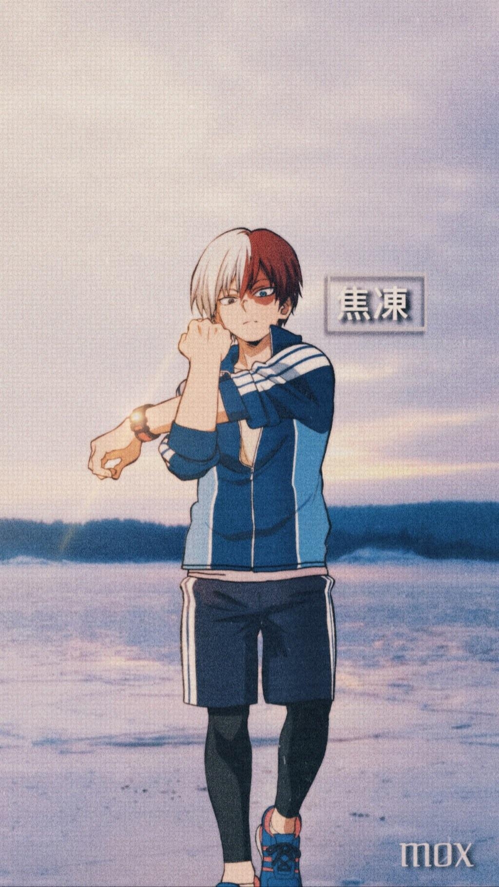 1030x1820 Shoto Todoroki Wallpaper, Phone