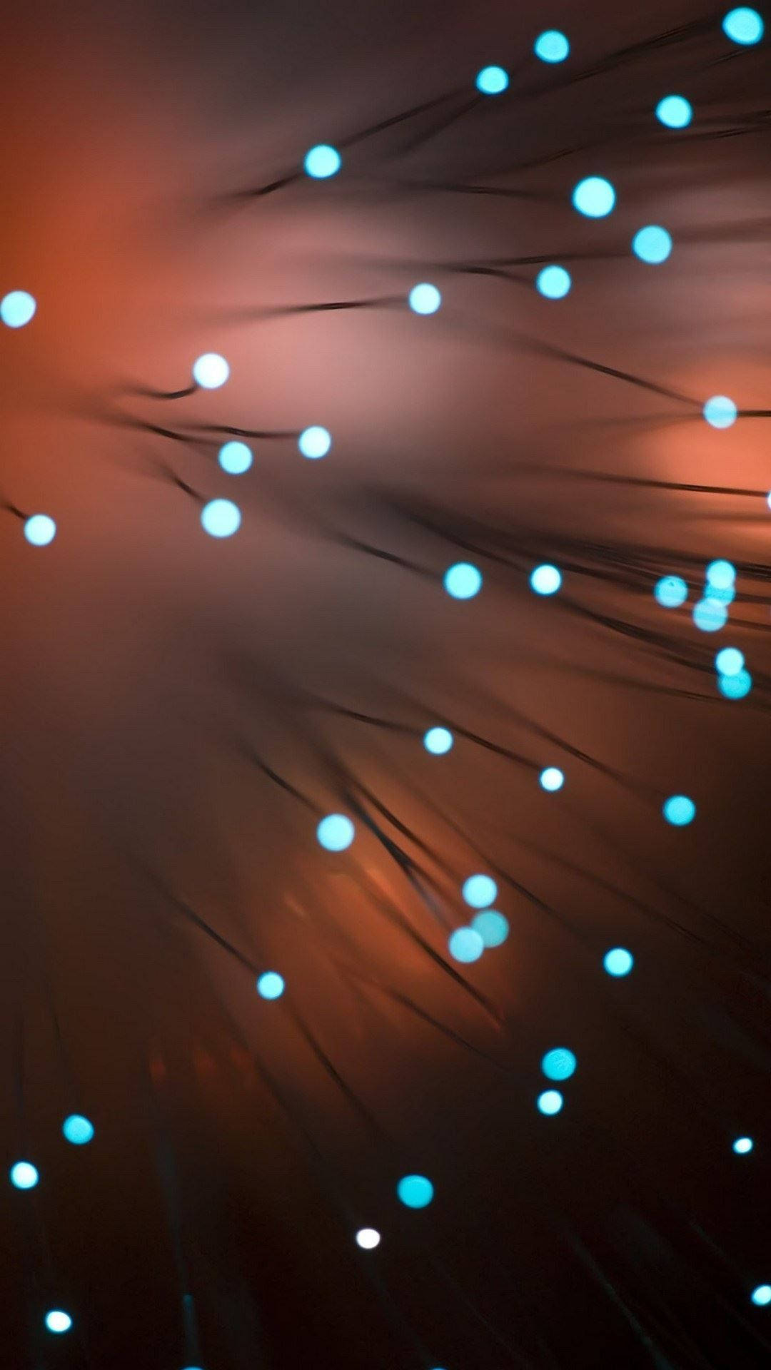 1080x1920 Download Stunning Bioluminescent Coral Display on HD Phone Screen Wallpaper, Phone