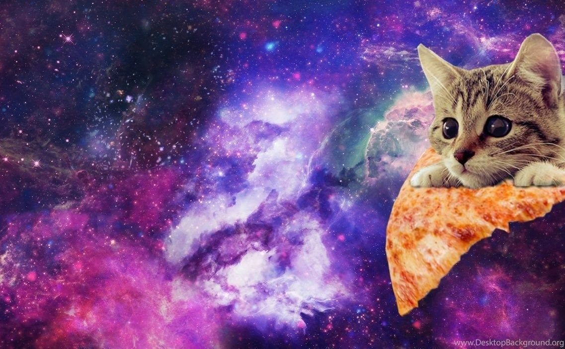 1140x710 Pizza Cat Wallpaper Free Pizza Cat Background, Desktop