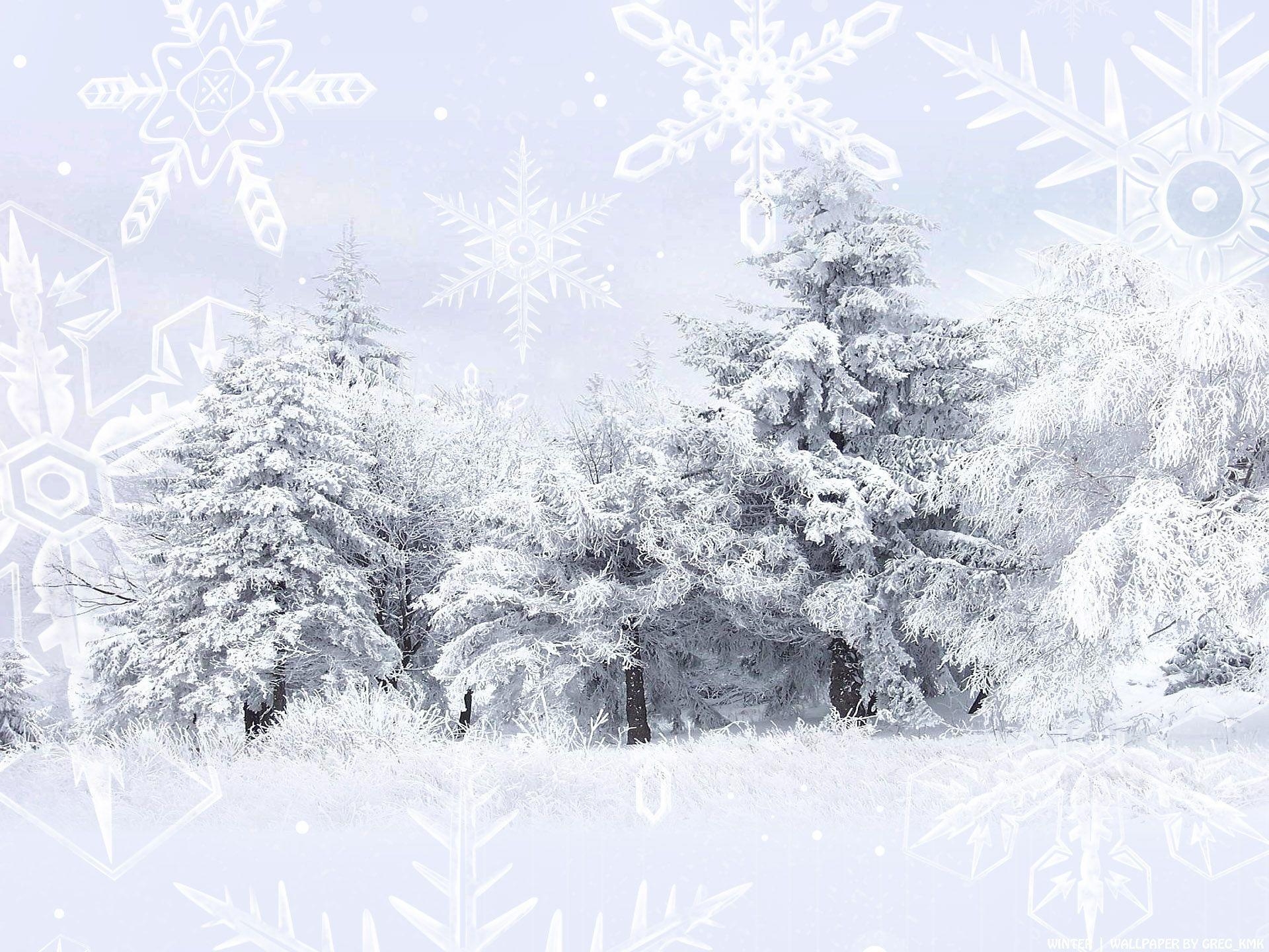 1920x1440 Winter Scene Wallpaper (Wallpaper 1 24 Of 47), Desktop