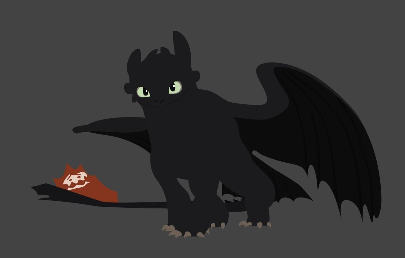 1340x850 Toothless How To Train Your Dragon Wallpaper, Desktop