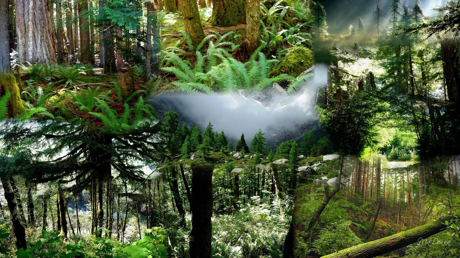 1920x1080 Pacific Northwest Wallpaper, Desktop