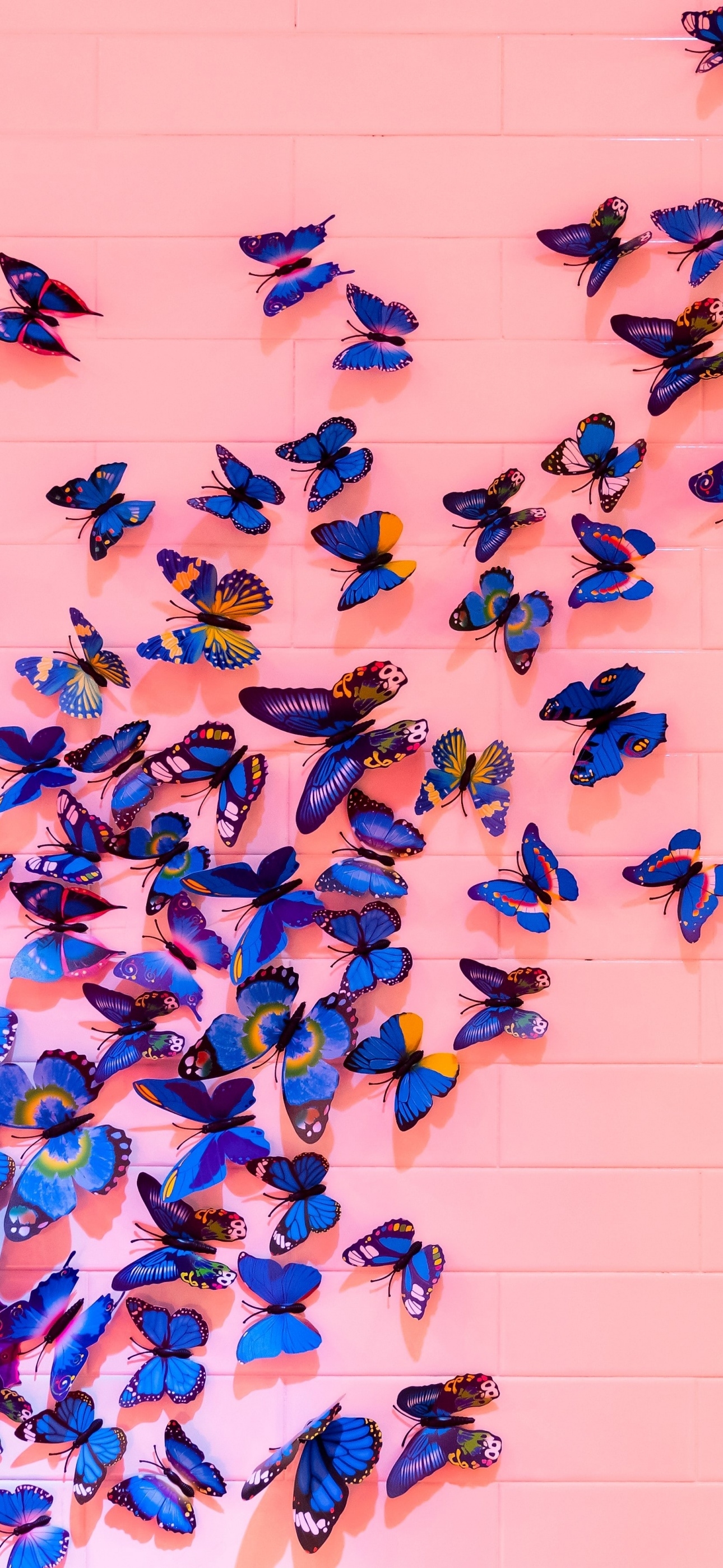 1290x2800 Blue butterfly Wallpaper 4K, Pink background, Wall, Animals, Phone