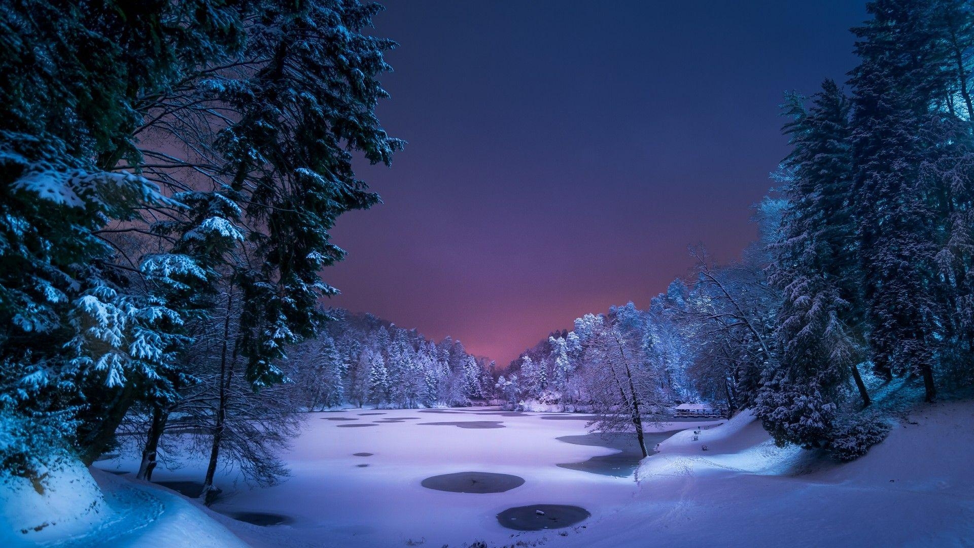 1920x1080 Snowy Winter Forest At Night Wallpaper. Wallpaper Studio 10. Tens, Desktop