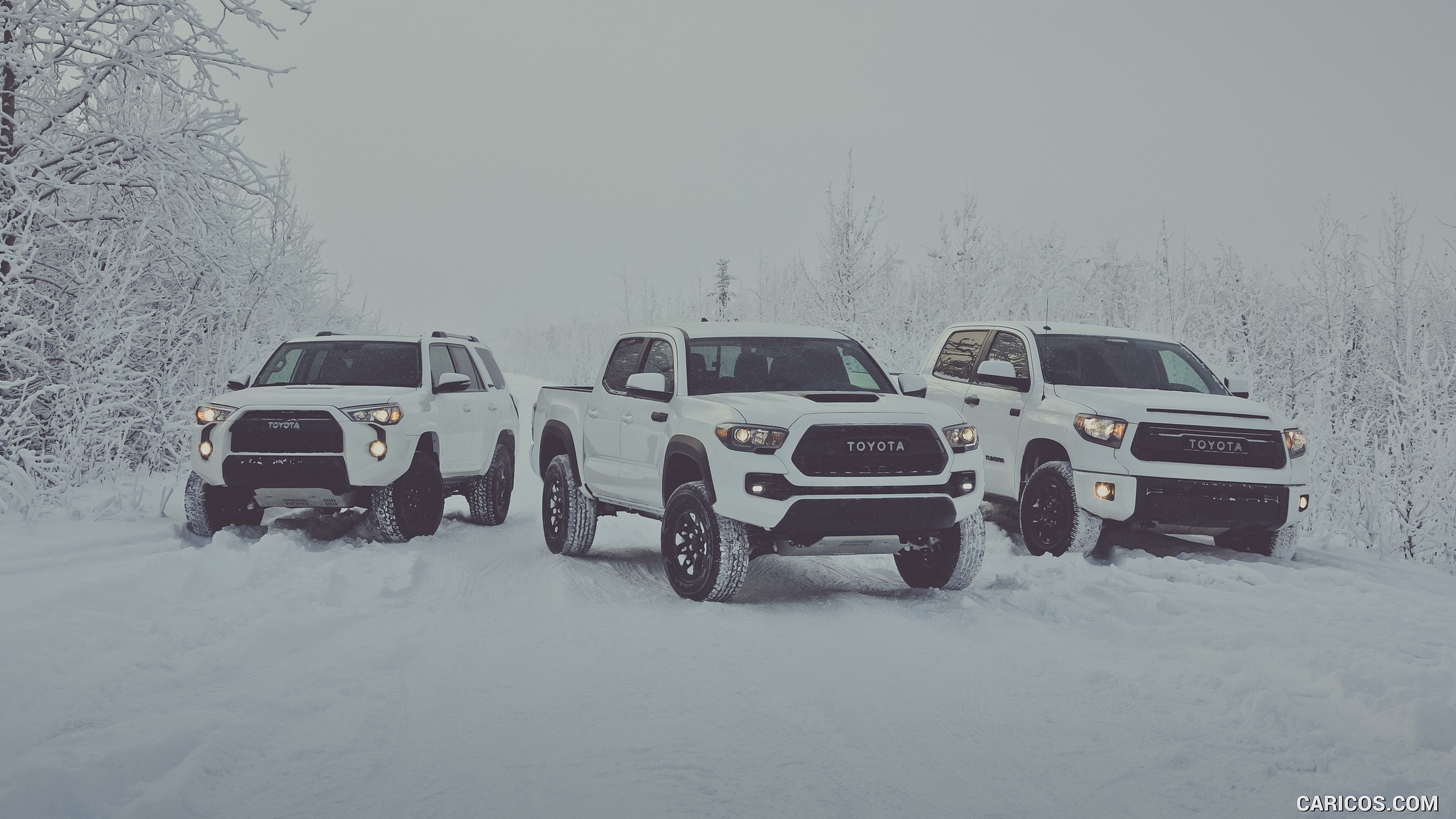 2560x1440 Toyota Tacoma TRD Pro in Snow, Desktop