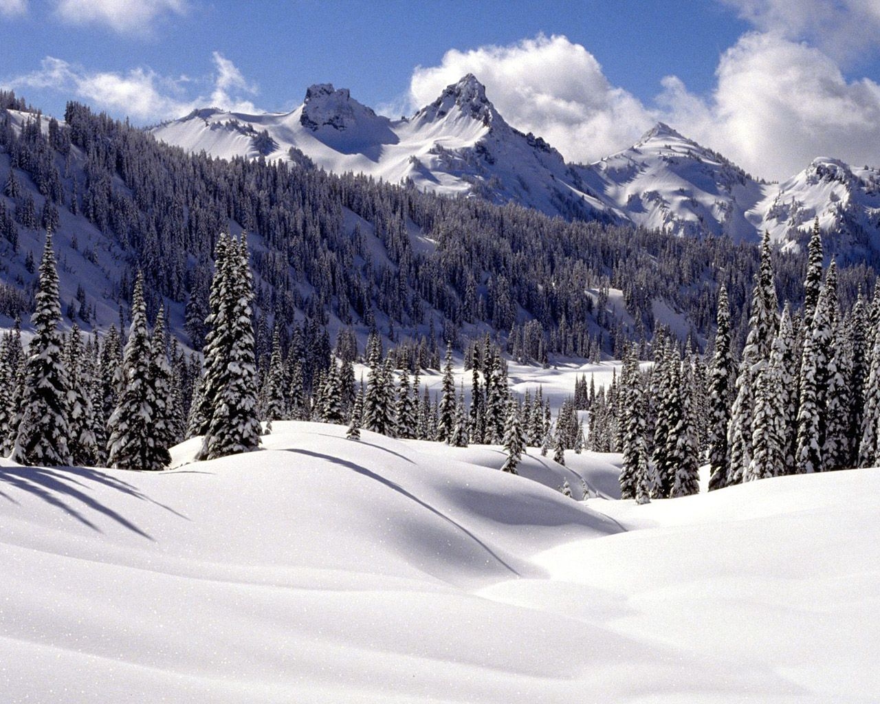 1280x1030 Winter wonderland, Dreamy Snow Scene wallpaper  NO.30 Desktop Wallpaper, Desktop