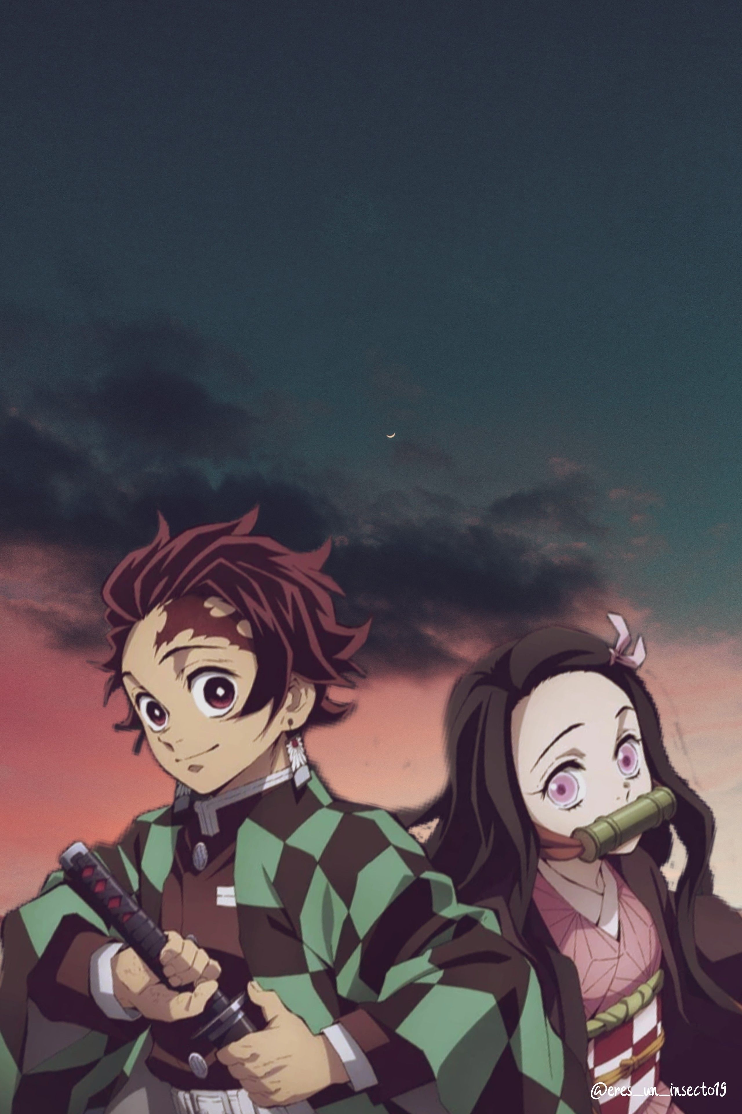 2560x3840 Tanjiro and Nezuko. Anime chibi, Anime films, Anime tshirt, Phone