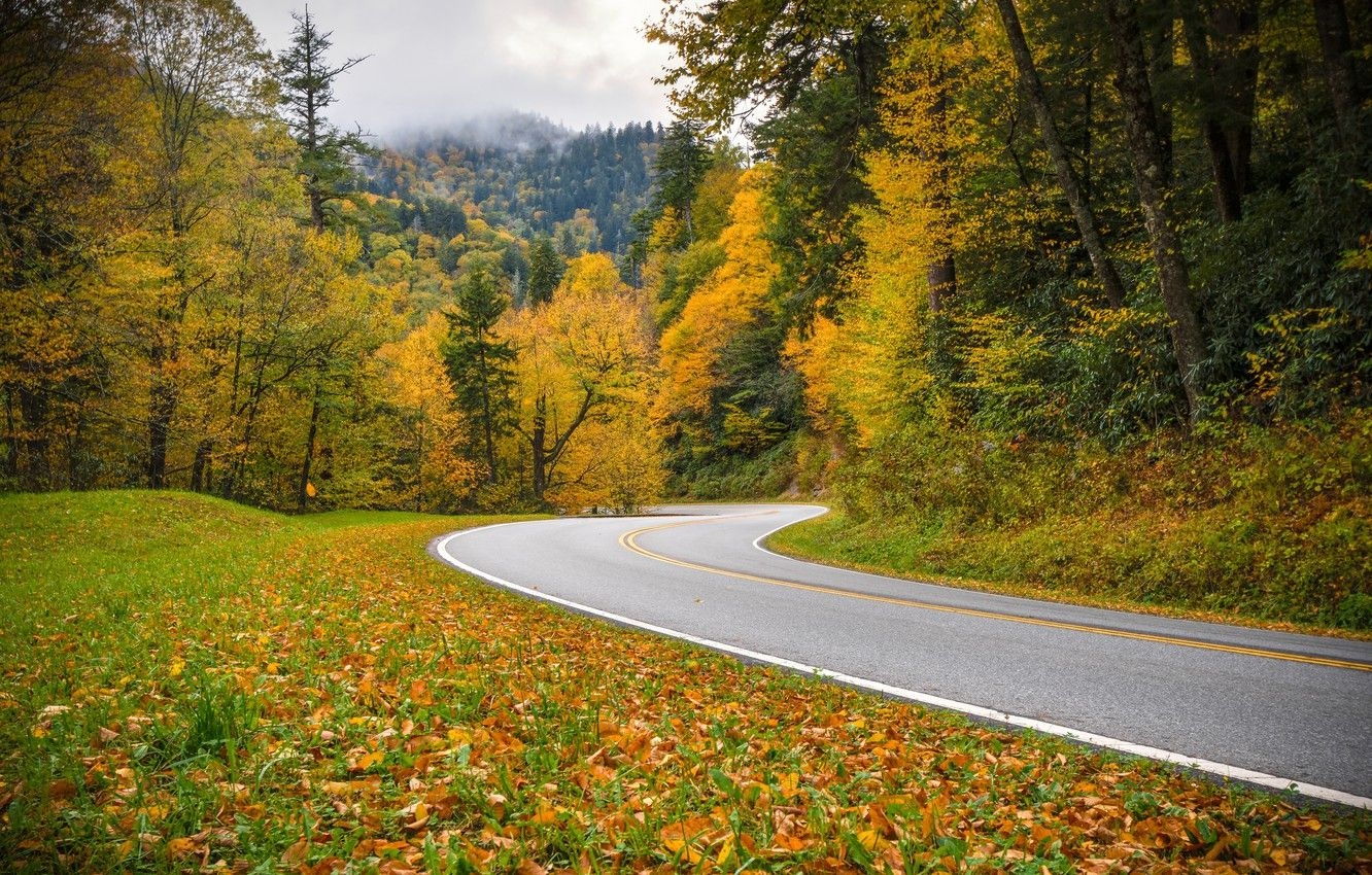 1340x850 Wallpaper road, autumn, forest, Tennessee, Tn, Great Smoky, Desktop