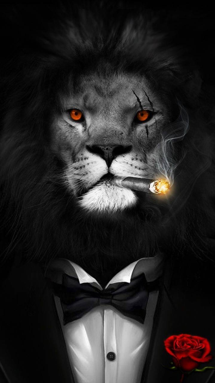 720x1280 Attitude lion wallpaper, Phone