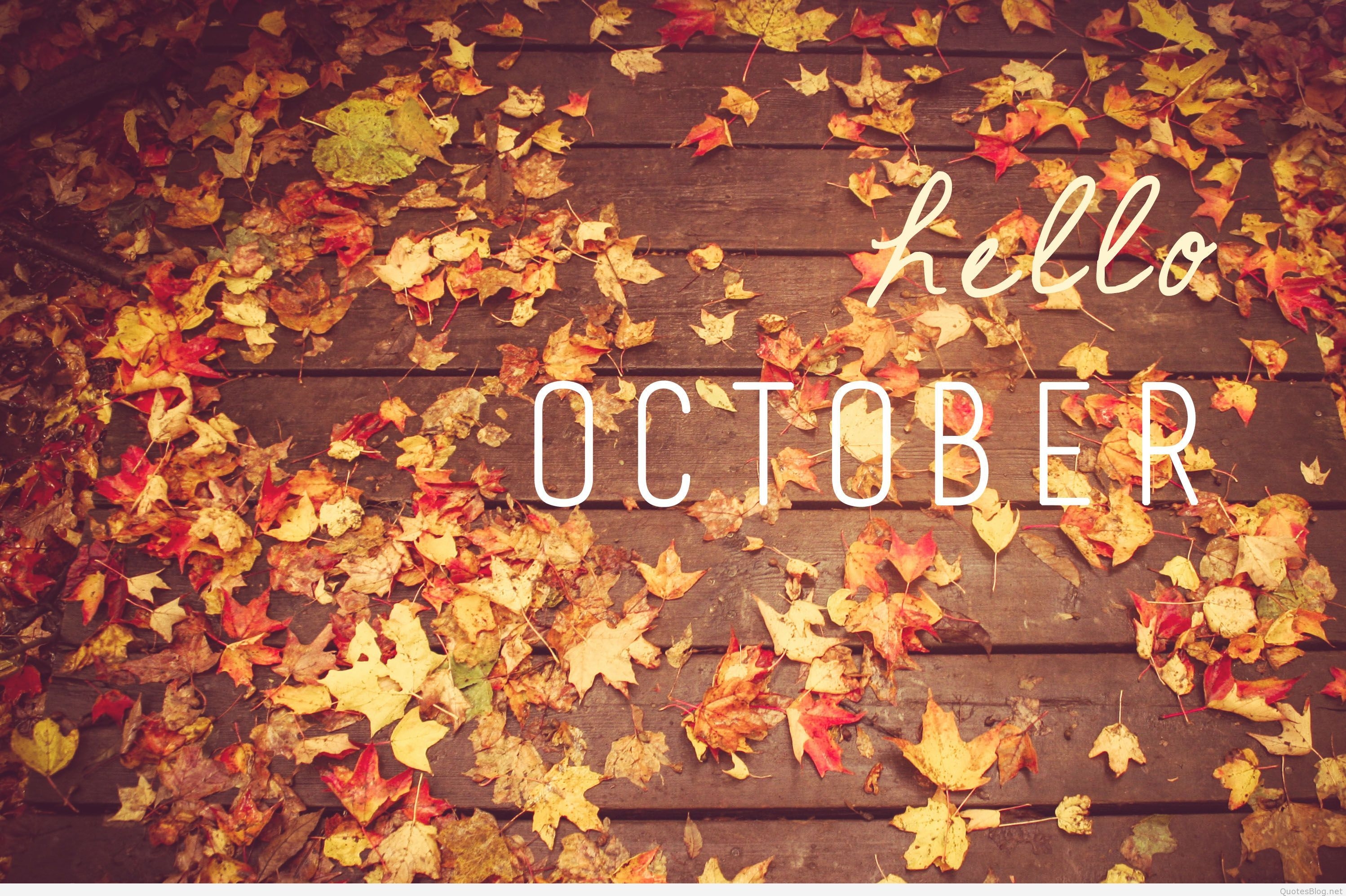 3000x2000 Hello October Wallpaper Free Hello October Background, Desktop