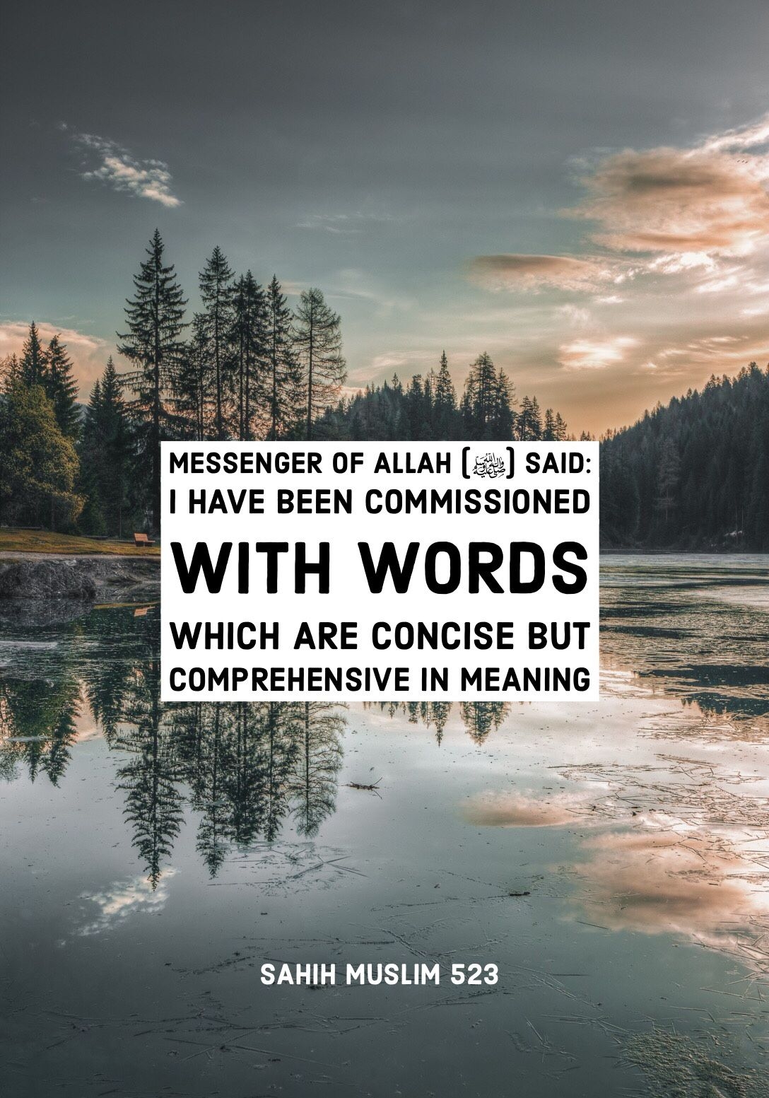 1090x1560 islamic quotes wallpaper hd, nature, natural landscape, water, sky, text, reflection, lake, water resources, wilderness, tree, Phone