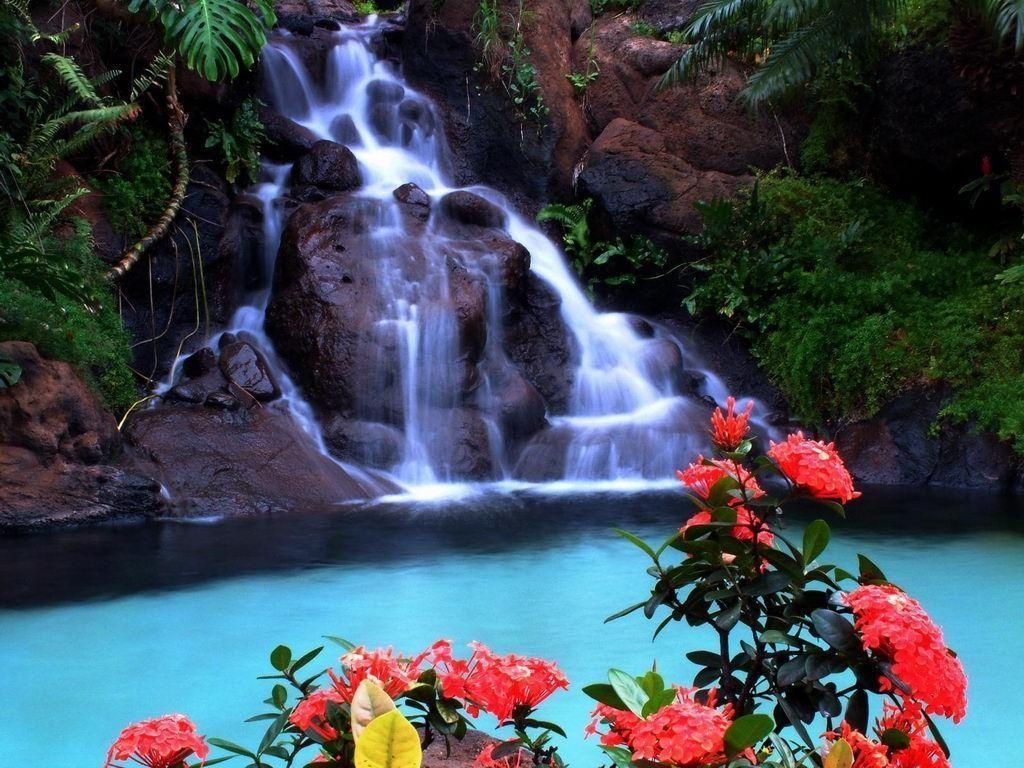 1030x770 Tropical Waterfalls Wallpaper, Desktop