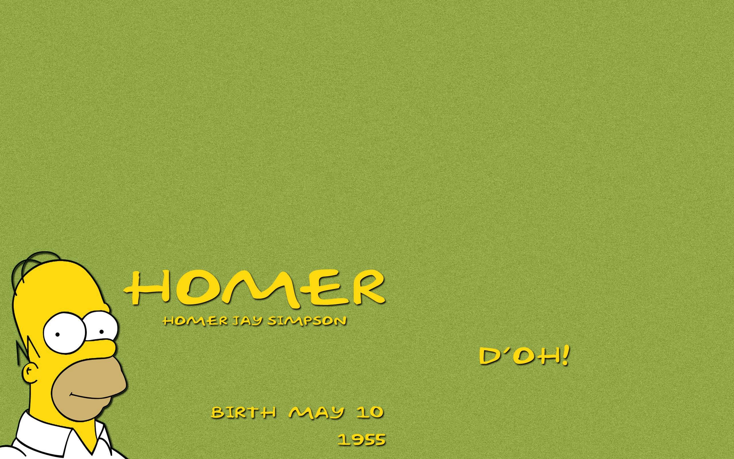 2560x1600 Download wallpaper gsimpsons, homer, birth, stupid free desktop, Desktop