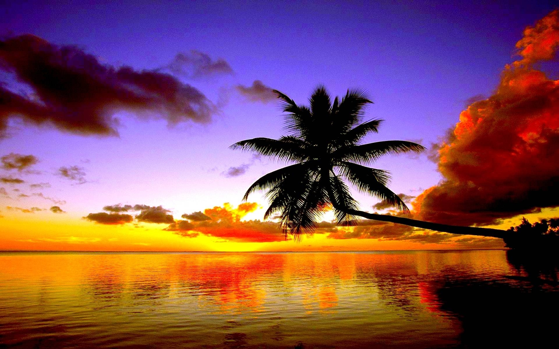 1920x1200 Sunset Beach Wallpaper #AZ3G763, Desktop